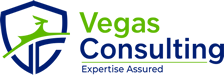 Vegas Consulting